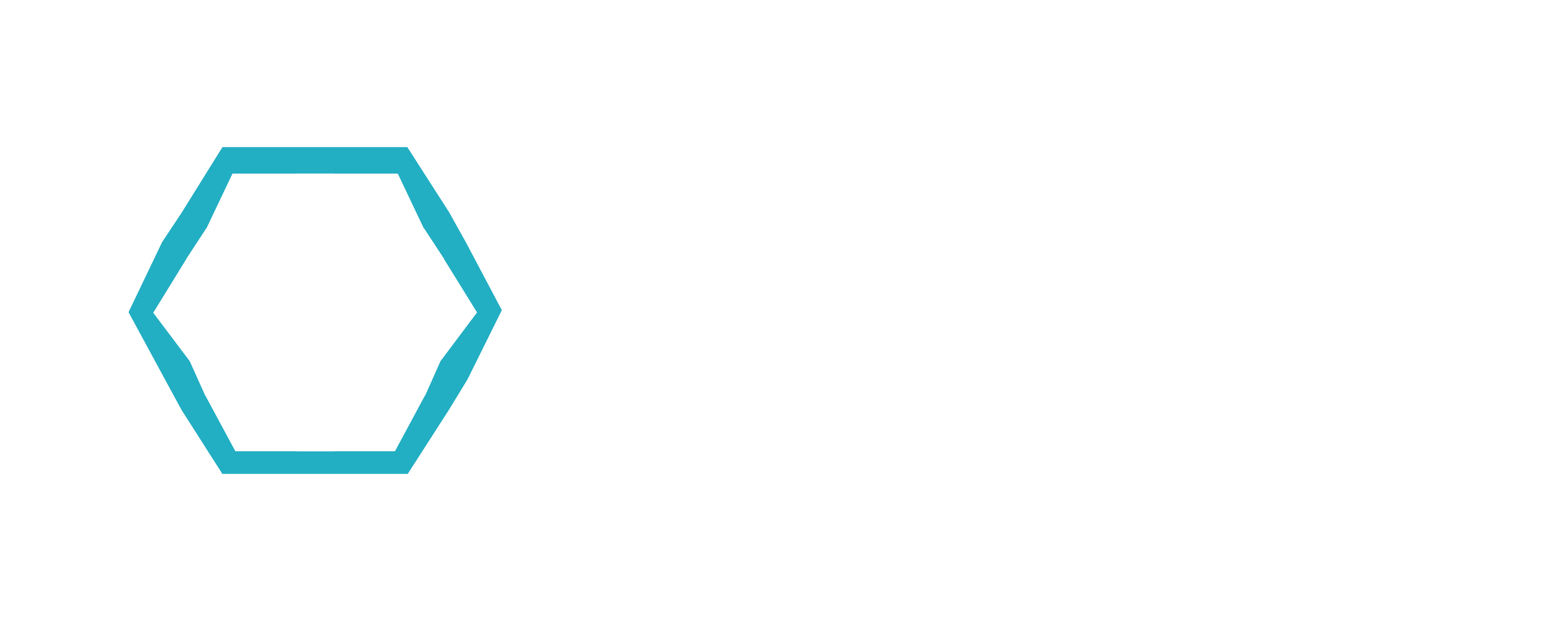 nwd group White logo